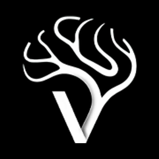 Vira Chairs logo
